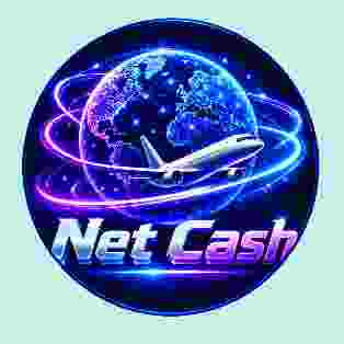 Netpay app logo